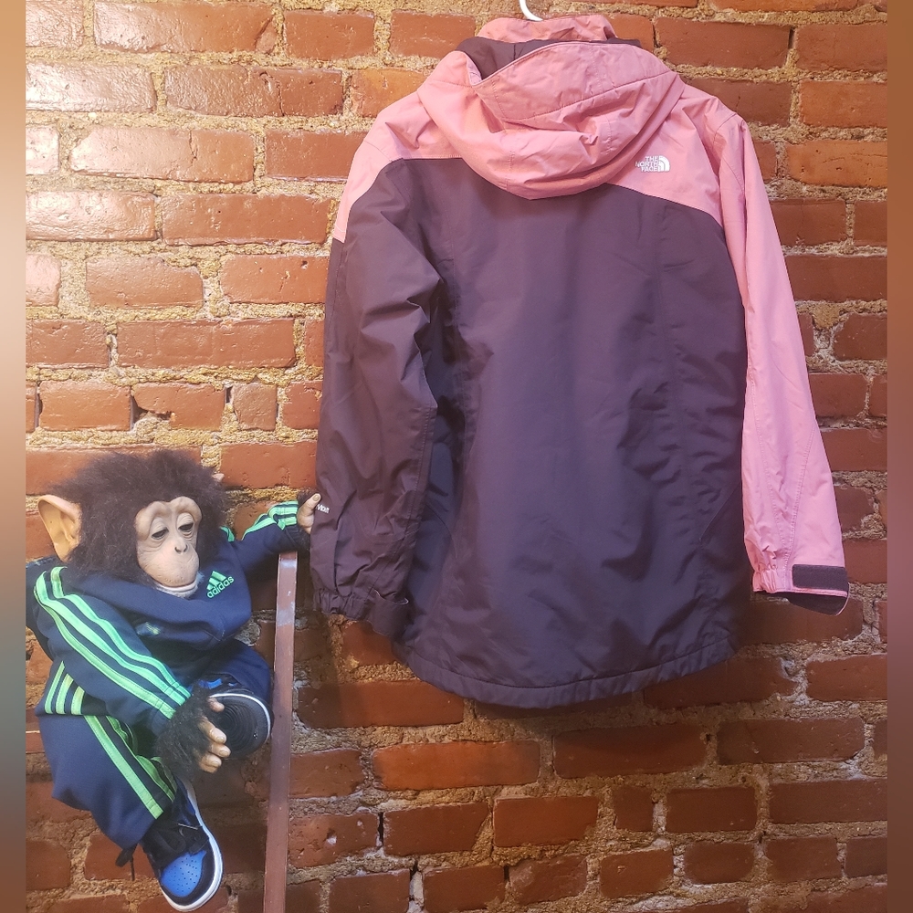 The North Face Jacket - image 2